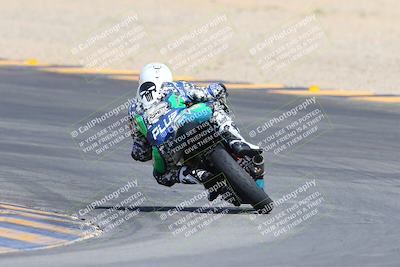 media/Mar-10-2024-SoCal Trackdays (Sun) [[6228d7c590]]/9-Turn 8 Backside (1150am)/